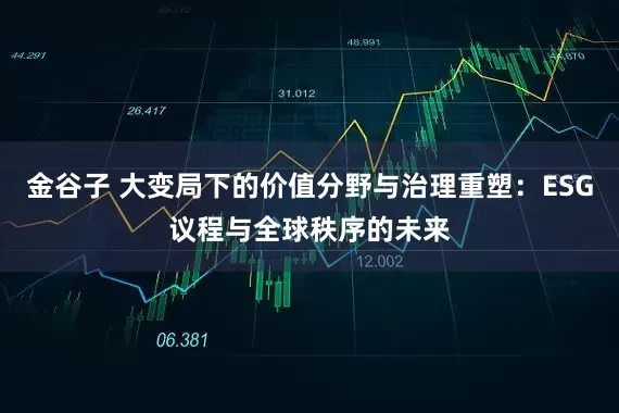 金谷子 大变局下的价值分野与治理重塑：ESG议程与全球秩序的未来