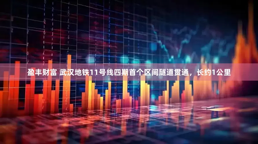 盈丰财富 武汉地铁11号线四期首个区间隧道贯通，长约1公里