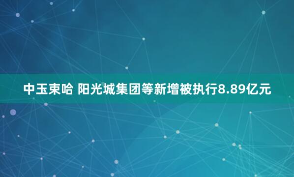 中玉束哈 阳光城集团等新增被执行8.89亿元