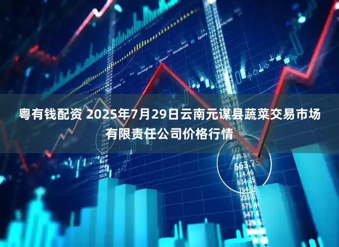 粤有钱配资 2025年7月29日云南元谋县蔬菜交易市场有限责任公司价格行情